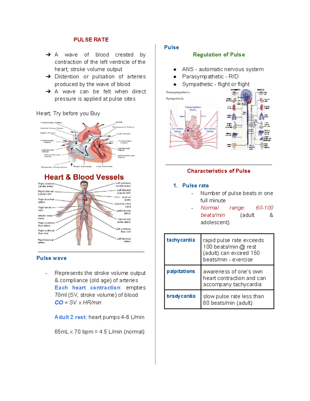 PR - Pulse Rate - PULSE RATE Pulse A wave of blood created by ...