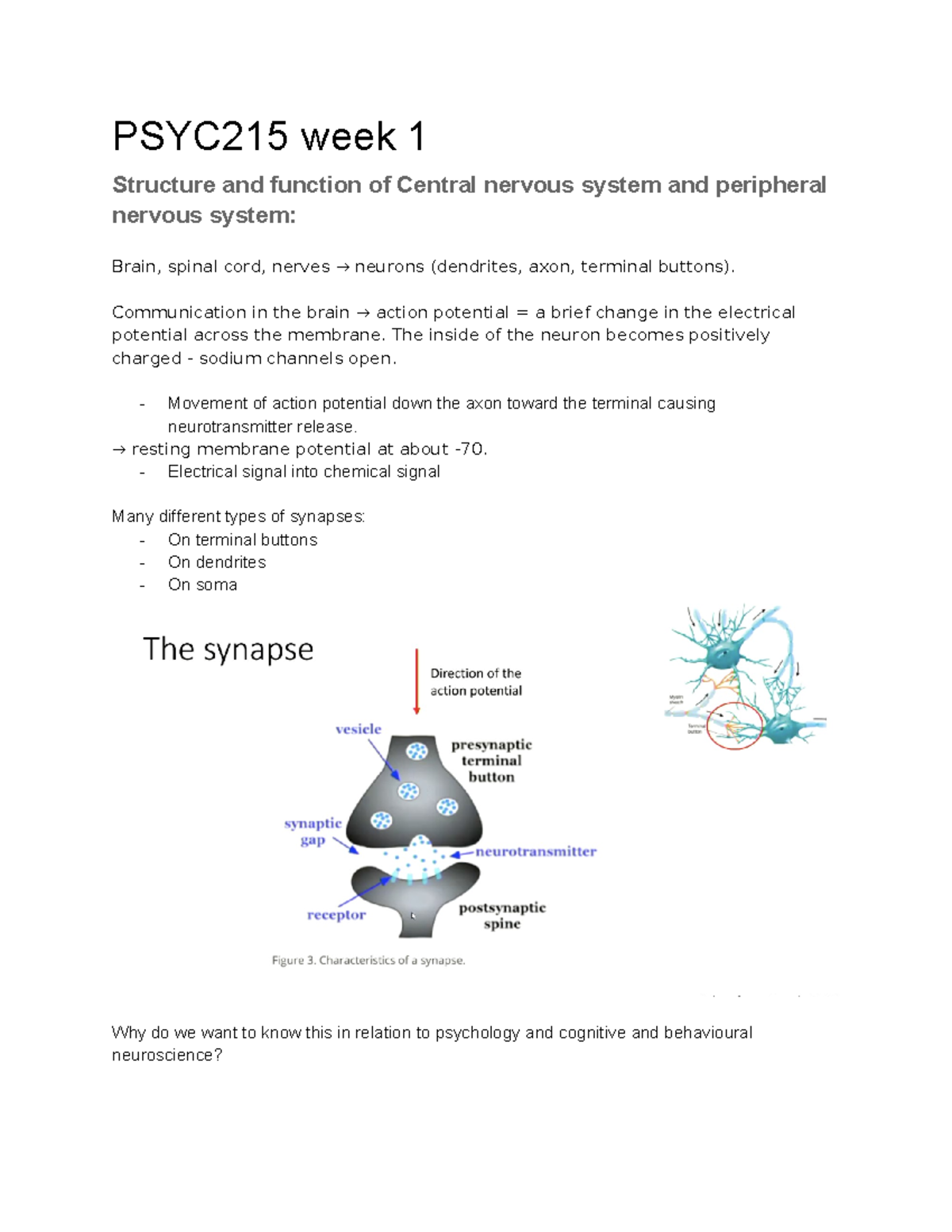 PSYC215 Week 1 Lecture Notes: CNS, PNS, and Synaptic Plasticity - Studocu