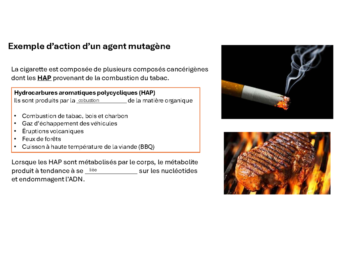 Complément de Cours 9 : Agents Mutagènes et HAP dans la Cigarette - Studocu
