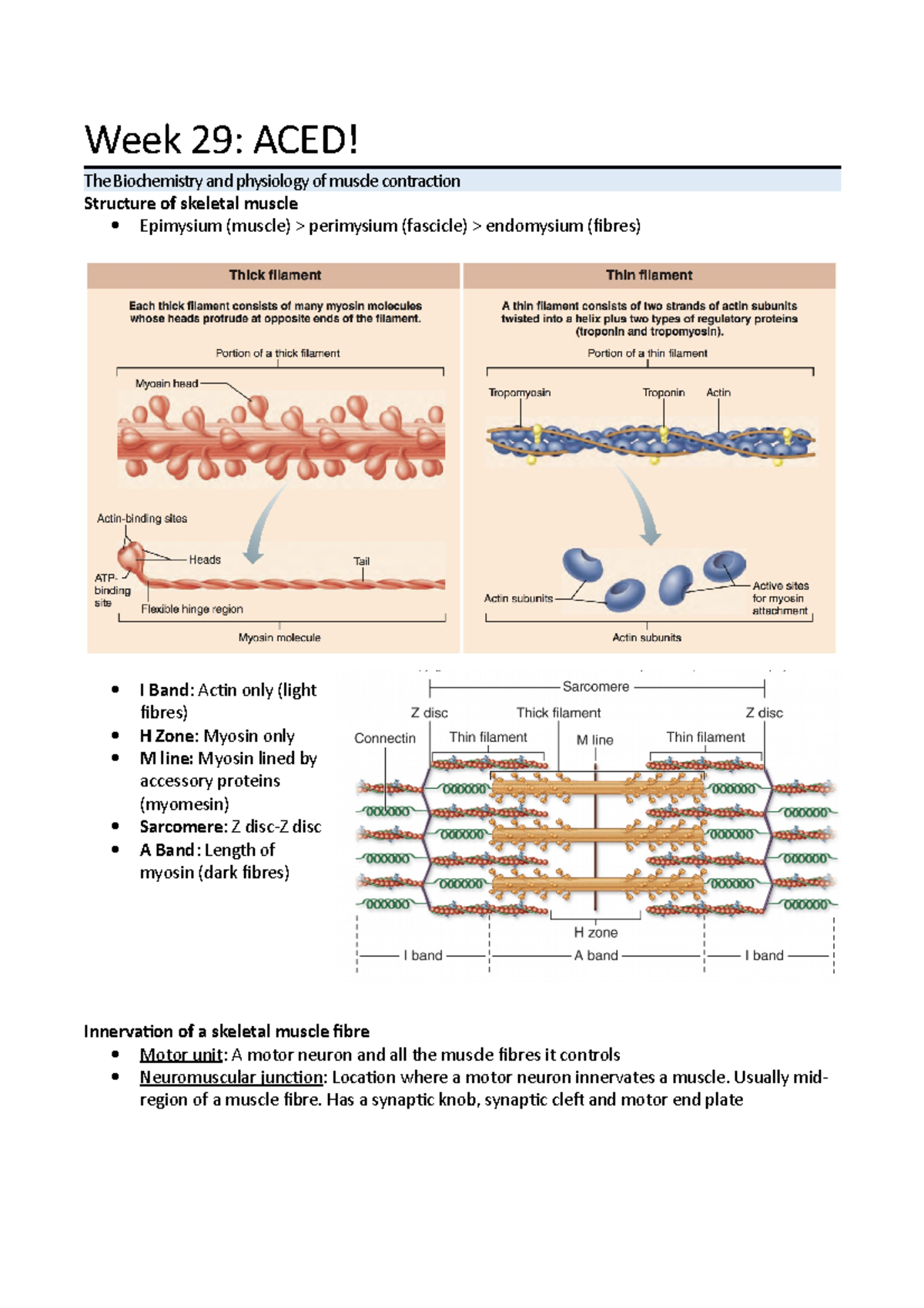 Week 29. Aced - Lecture notes Week 29 - Week 29: ACED! The Biochemistry ...
