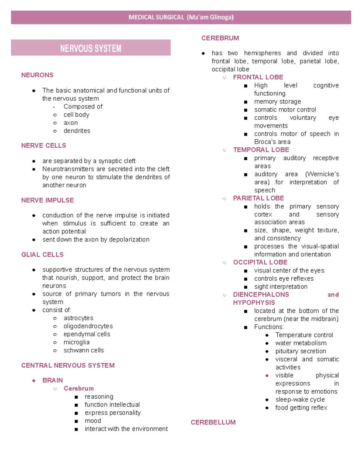 Neuro Lecture: Anatomy & Function of Cerebrum and Nervous System - Studocu