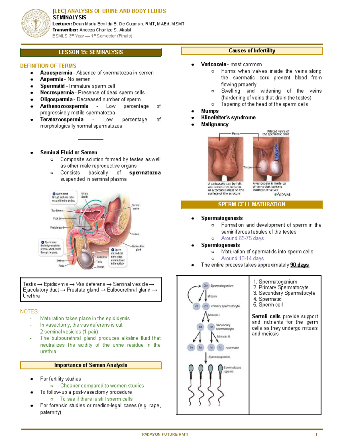 [AUBF LEC] L15 Final Exam Notes on Seminalysis and Infertility Analysis ...