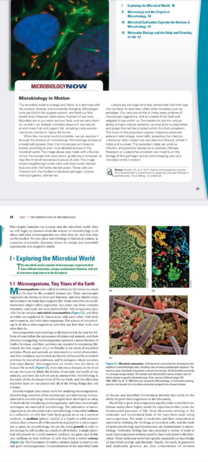 BIO 303 Fall 2023-24 Study Questions for 1st Exam on Microbiology - BIO ...
