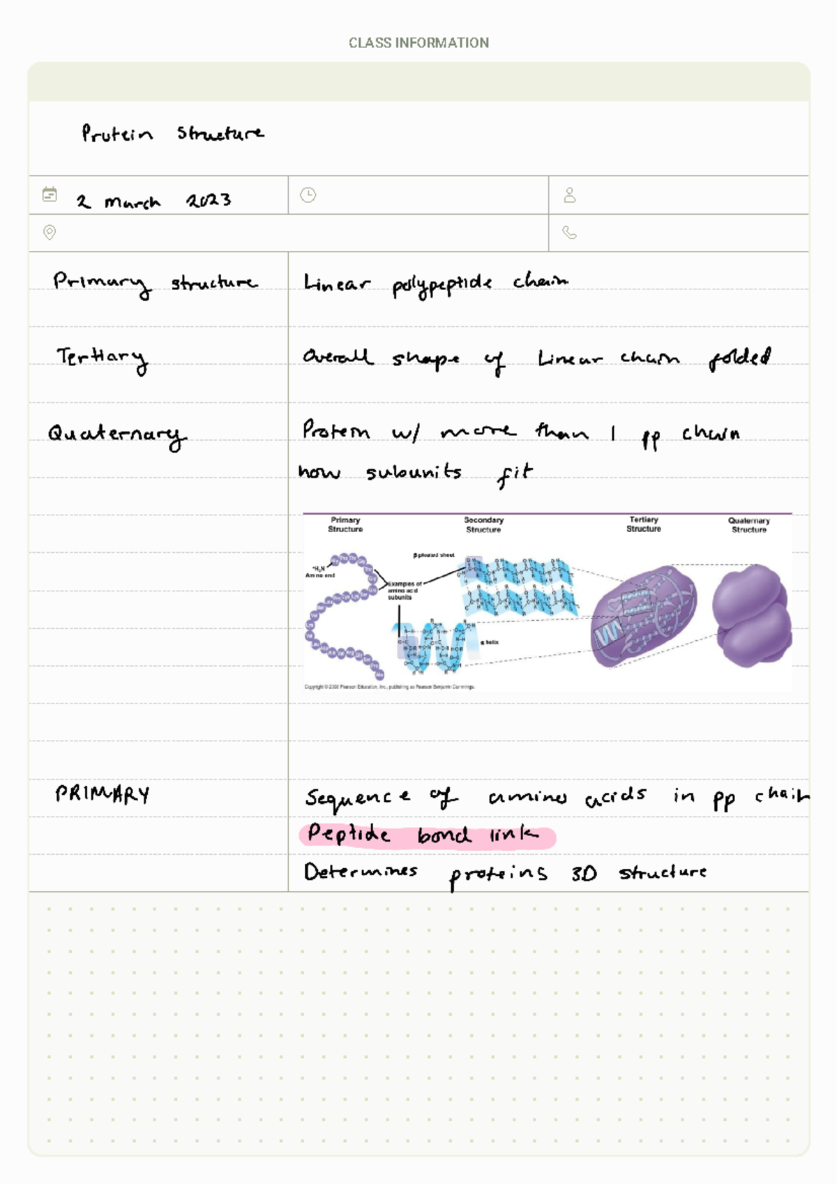 Protein Structure Overview for Course 230307 - 121929 - Studocu