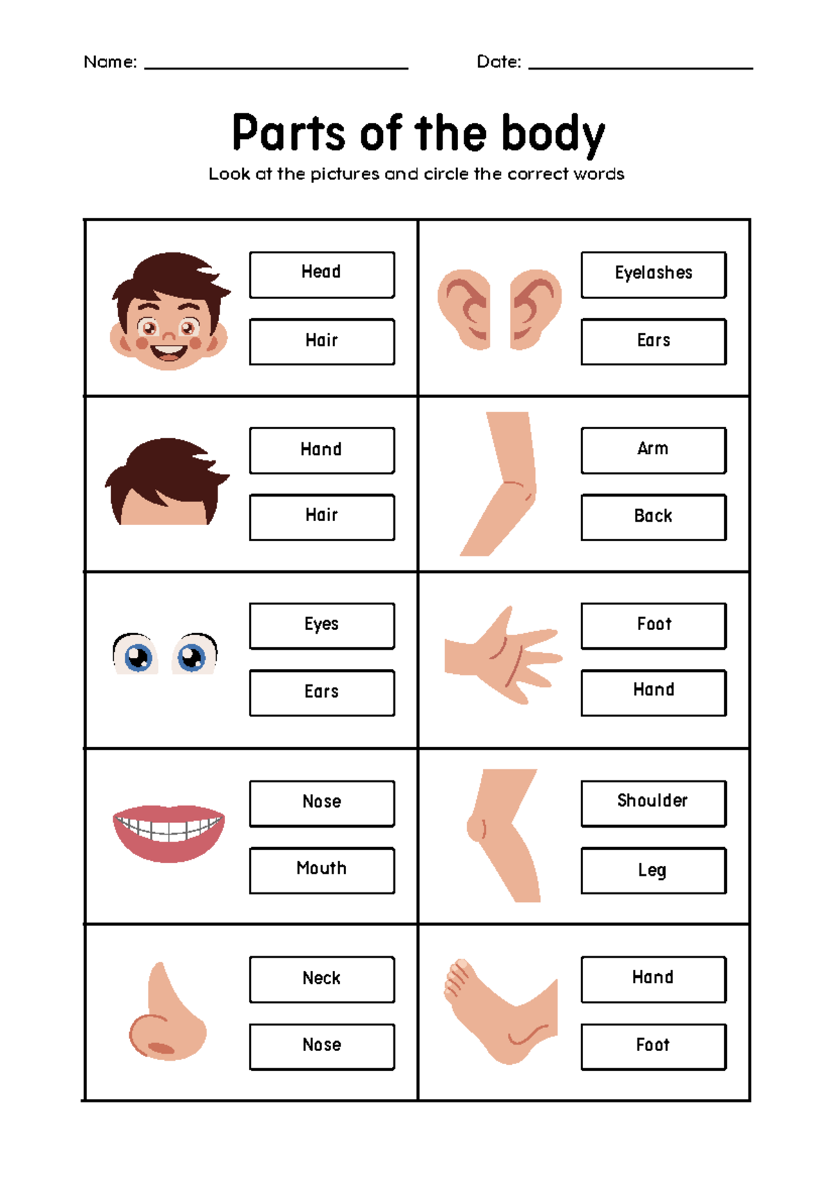 Parts Of The Body Worksheet - Bachelor of Secondary Education - Parts ...