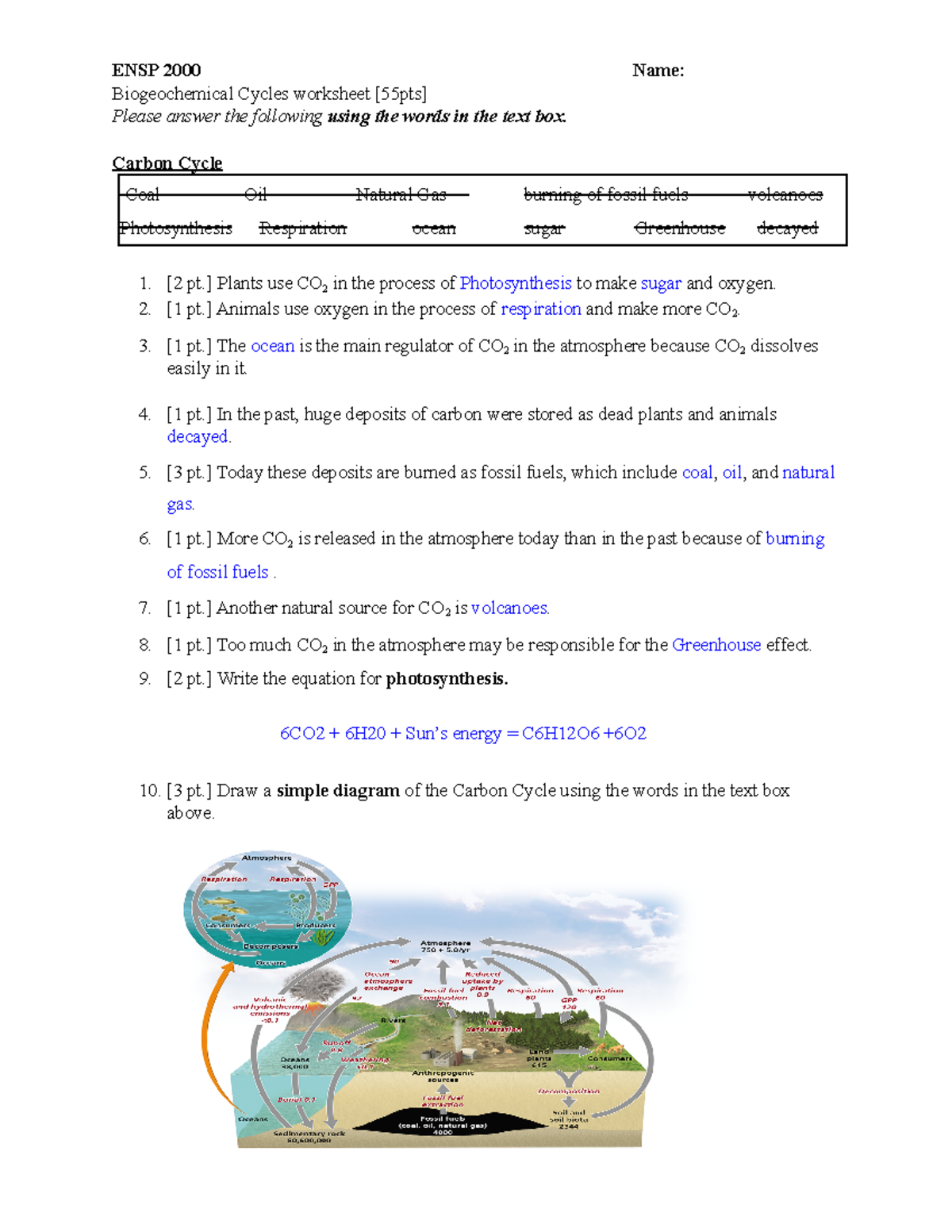 Biogeochemical cycles Worksheet - ENSP 2000 Name: Biogeochemical Cycles