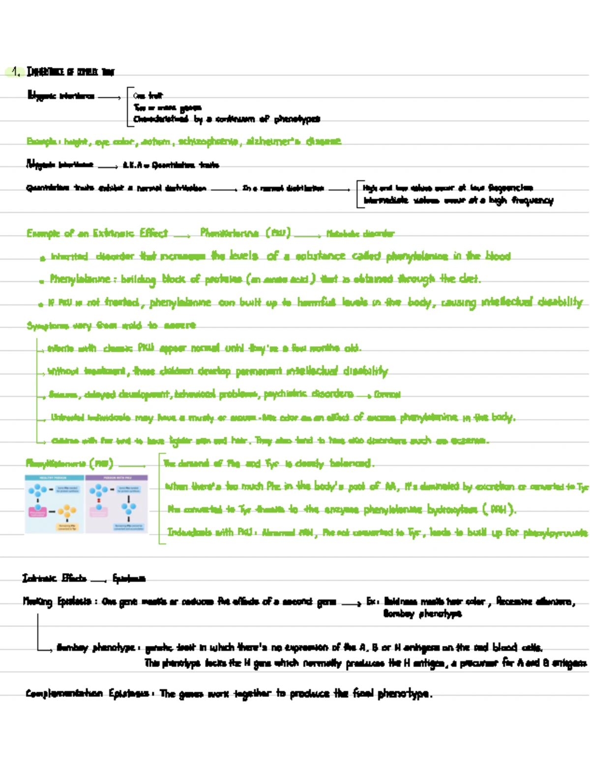 Final Review Sheet for BIOL 101: Lab Procedures & Key Concepts - Studocu