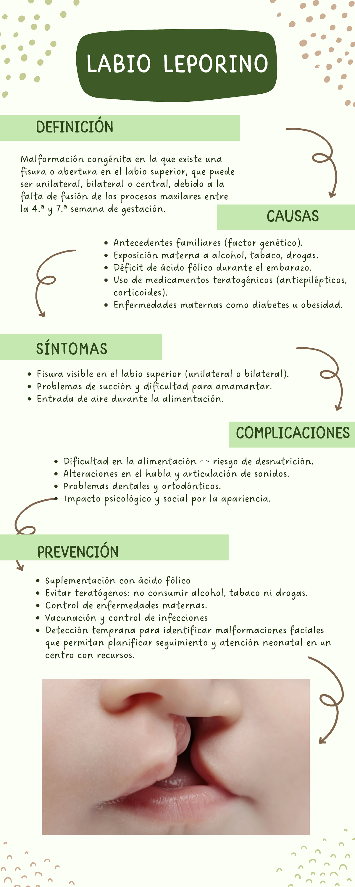 LABIO LEPORINO: Definición, Causas y Prevención - Ejemplo - Studocu