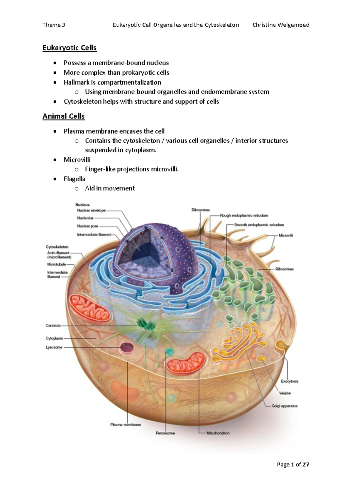 MLB 111 Unit 1 Notes: Cell Theory, Structure, and Function Summary ...