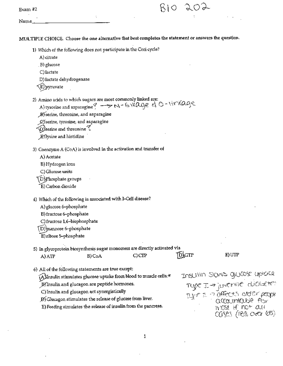 Bio 202 Exam 2 Review: Practice Questions and Key Concepts - Studocu