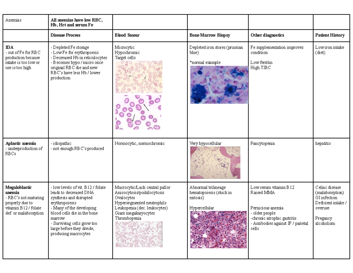 Hematology Exam Study Guide: Anemia and Blood Disorders Overview ...