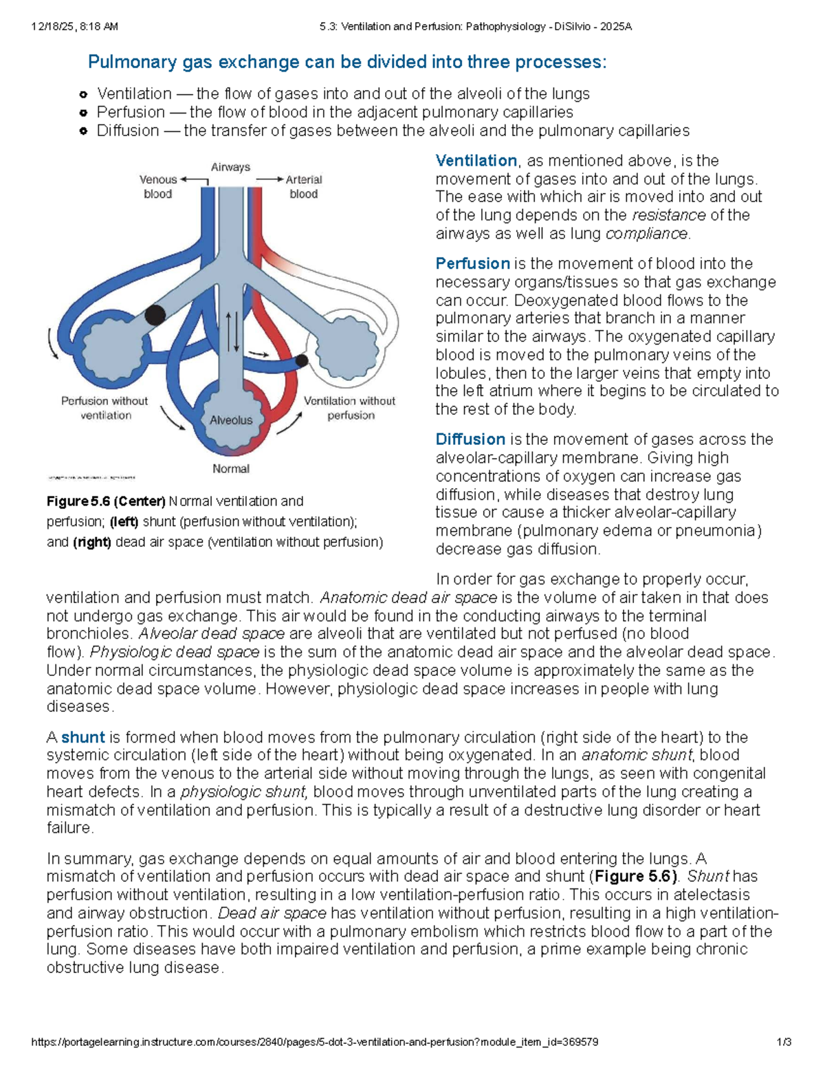 5.3 Ventilation and Perfusion Pathophysiology - DiSilvio 2025A - Studocu