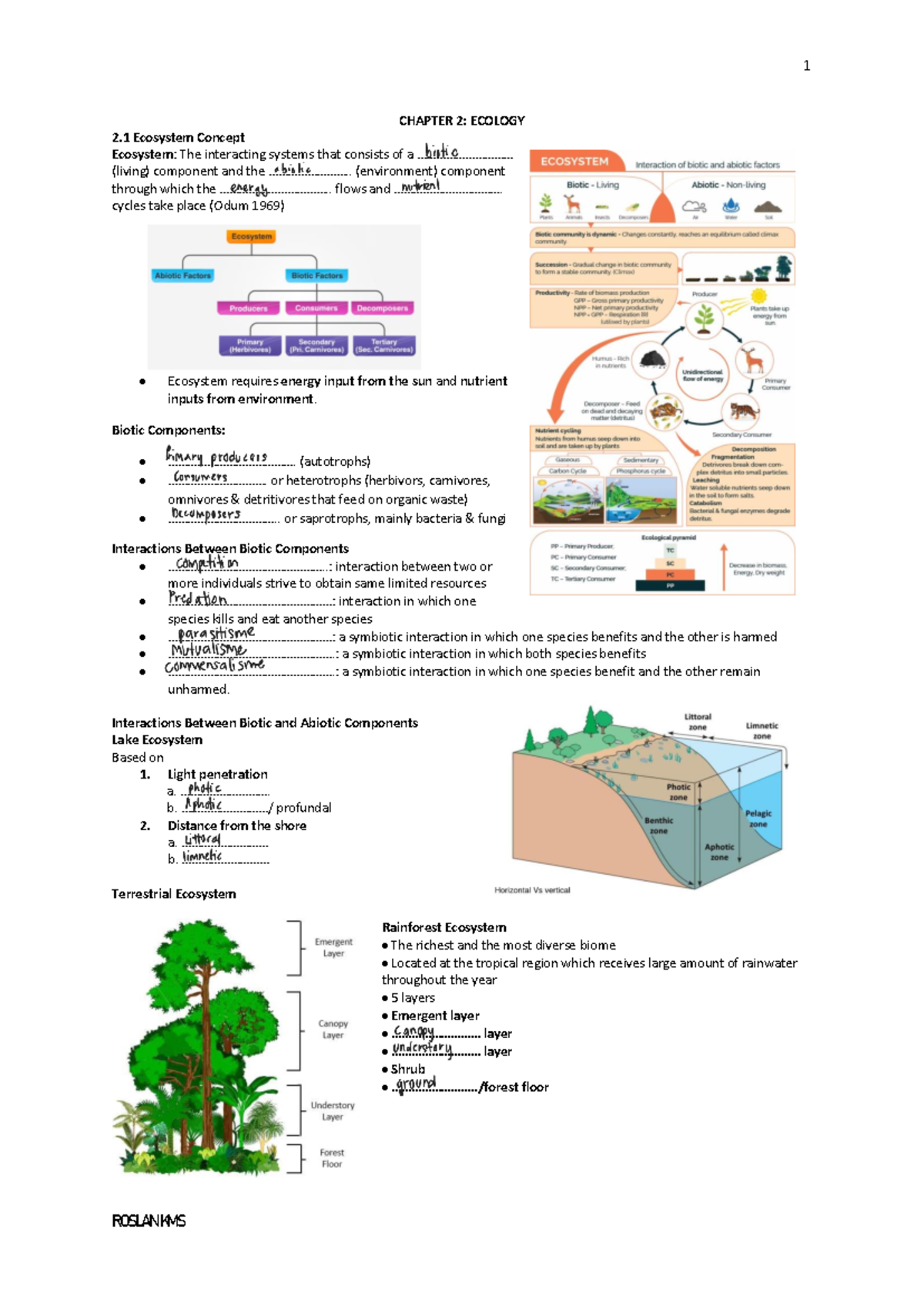 Chapter 2: Ecology Concepts and Energy Flow (231229) - Studocu