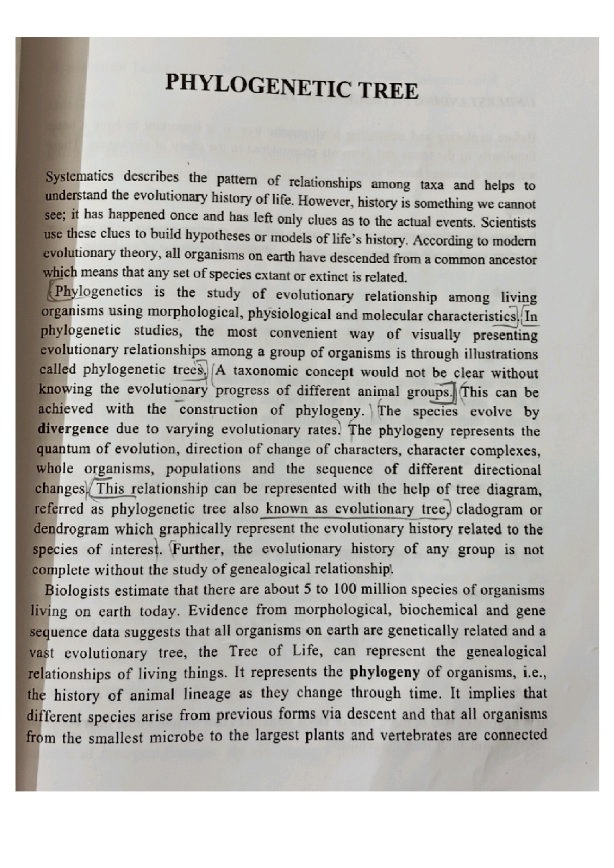 Phylogenetic TREE Notes: Essential Study Guide for Success - Studocu