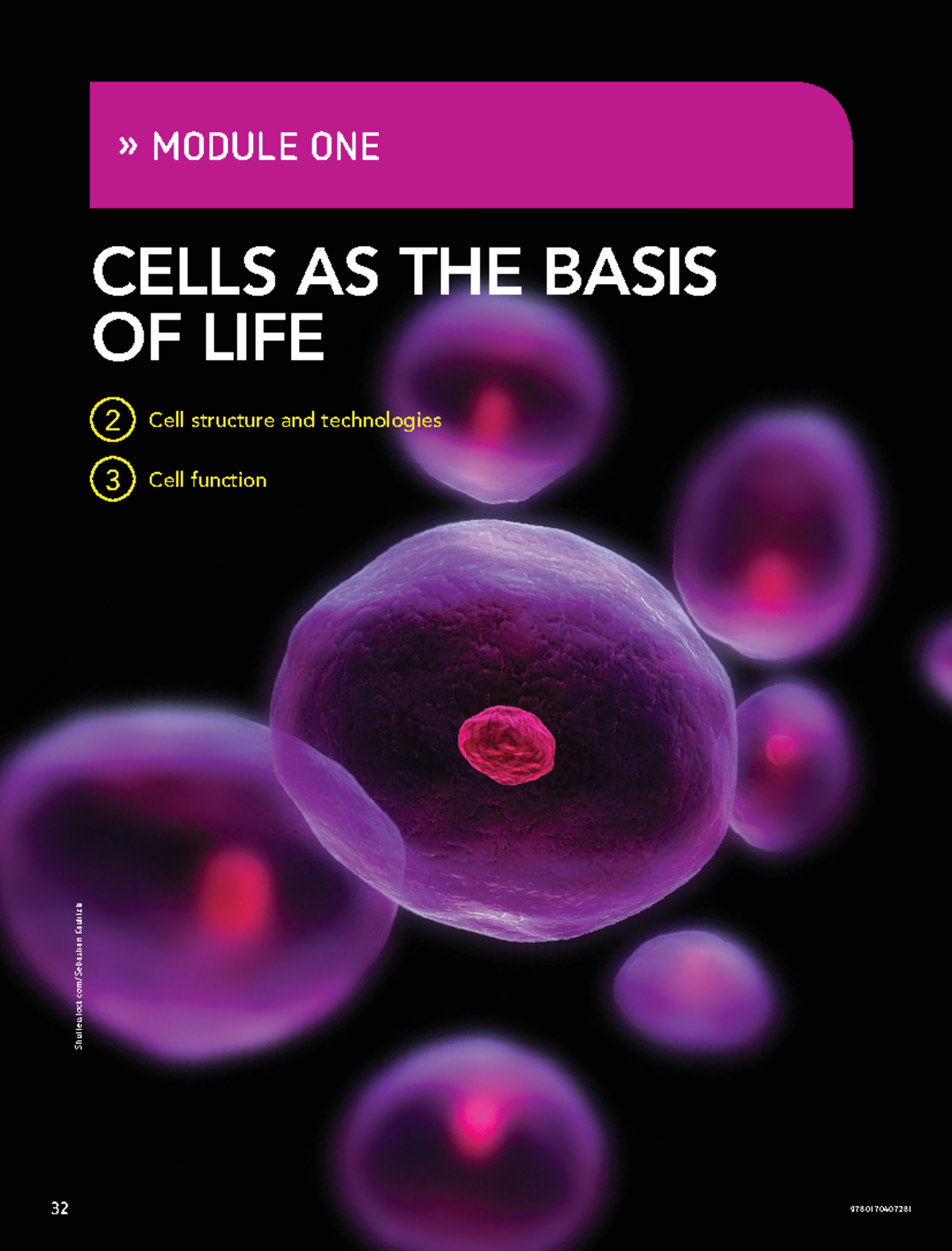 Chapter 2: Cell Structure and Technologies - Biology Textbook (ACSBL032 ...