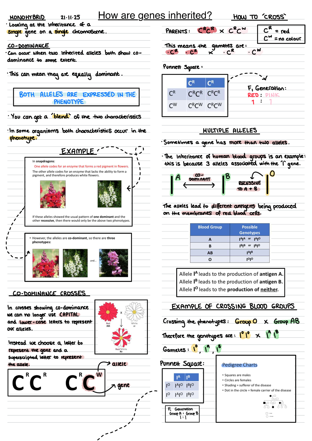 Unit 7 Notes: Inheritance, Evolution, and Selection in A Level Biology ...