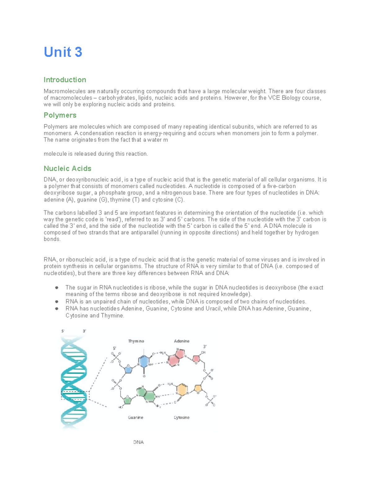 VCE Biology Unit 3: Introduction to Macromolecules and Proteins - Studocu