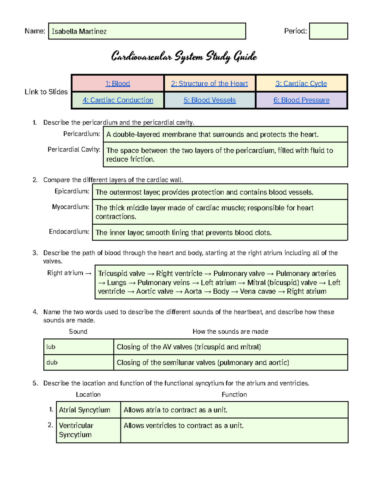 Cardiovascular System Study Guide (BIO 101 - Spring 2024) - Name ...