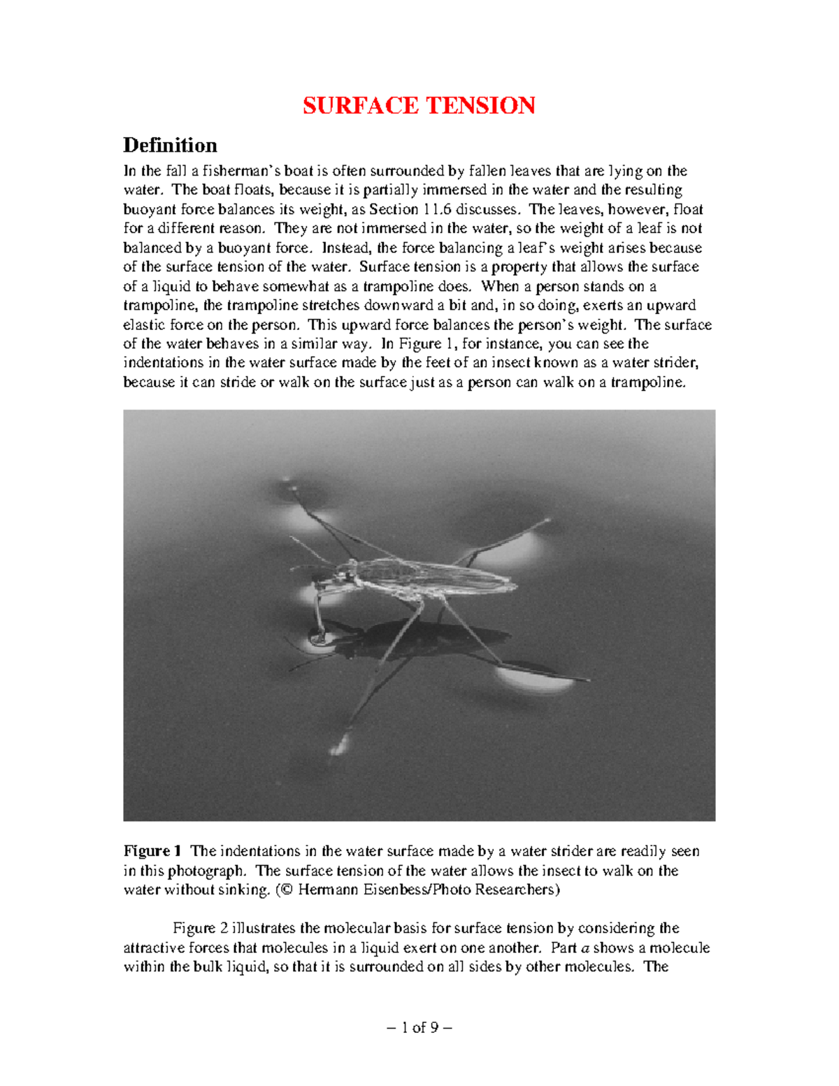 Viscosity and Surface Tension of Water: An In-Depth Study (PHYS 101 ...