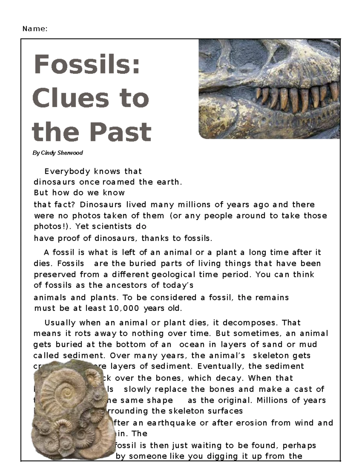 Bto S Class Homework 18 - Fossil and Volcanoes - Name