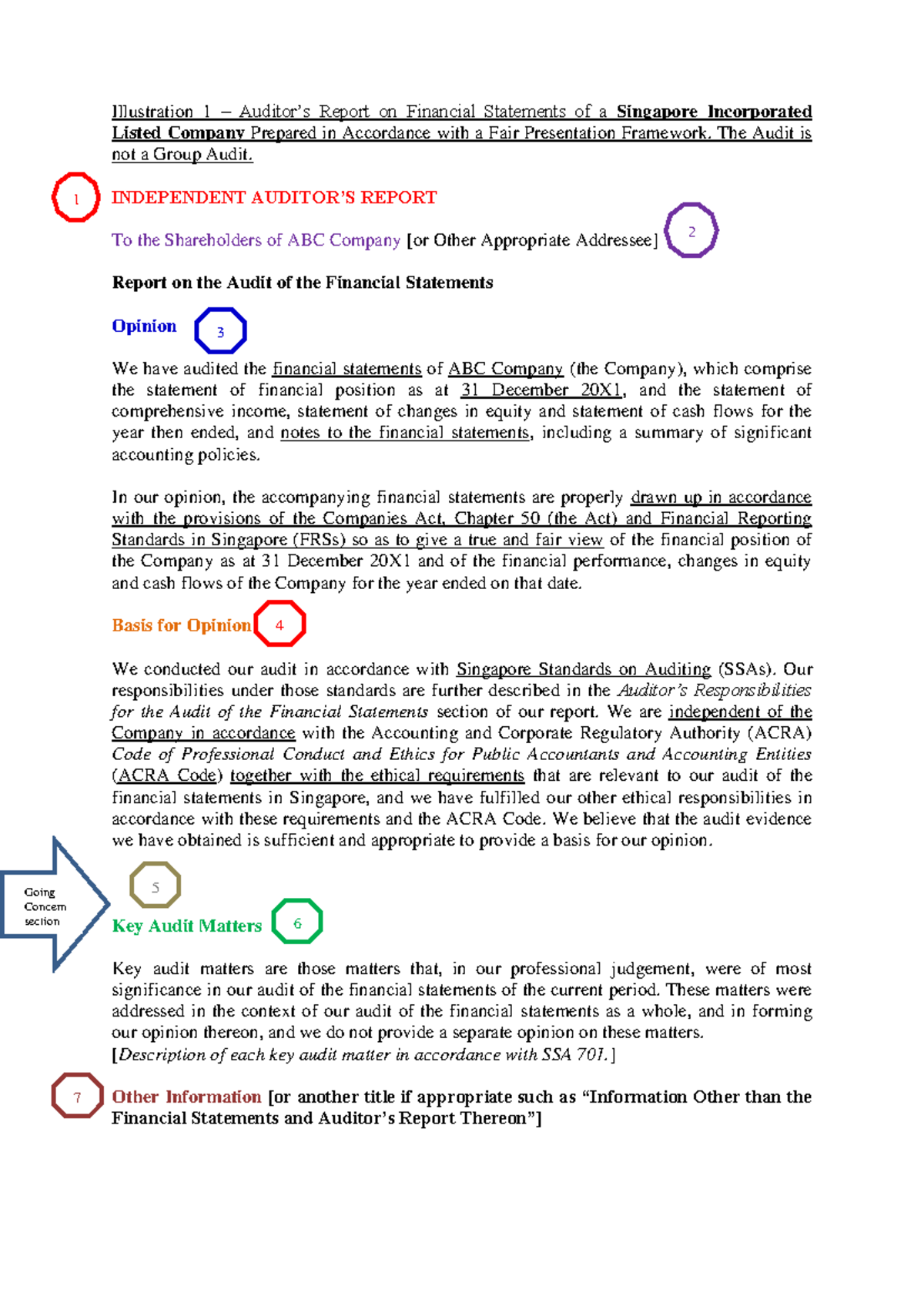 Seminar 8 SSA 700 Auditor's Report Example for Financial Statements ...