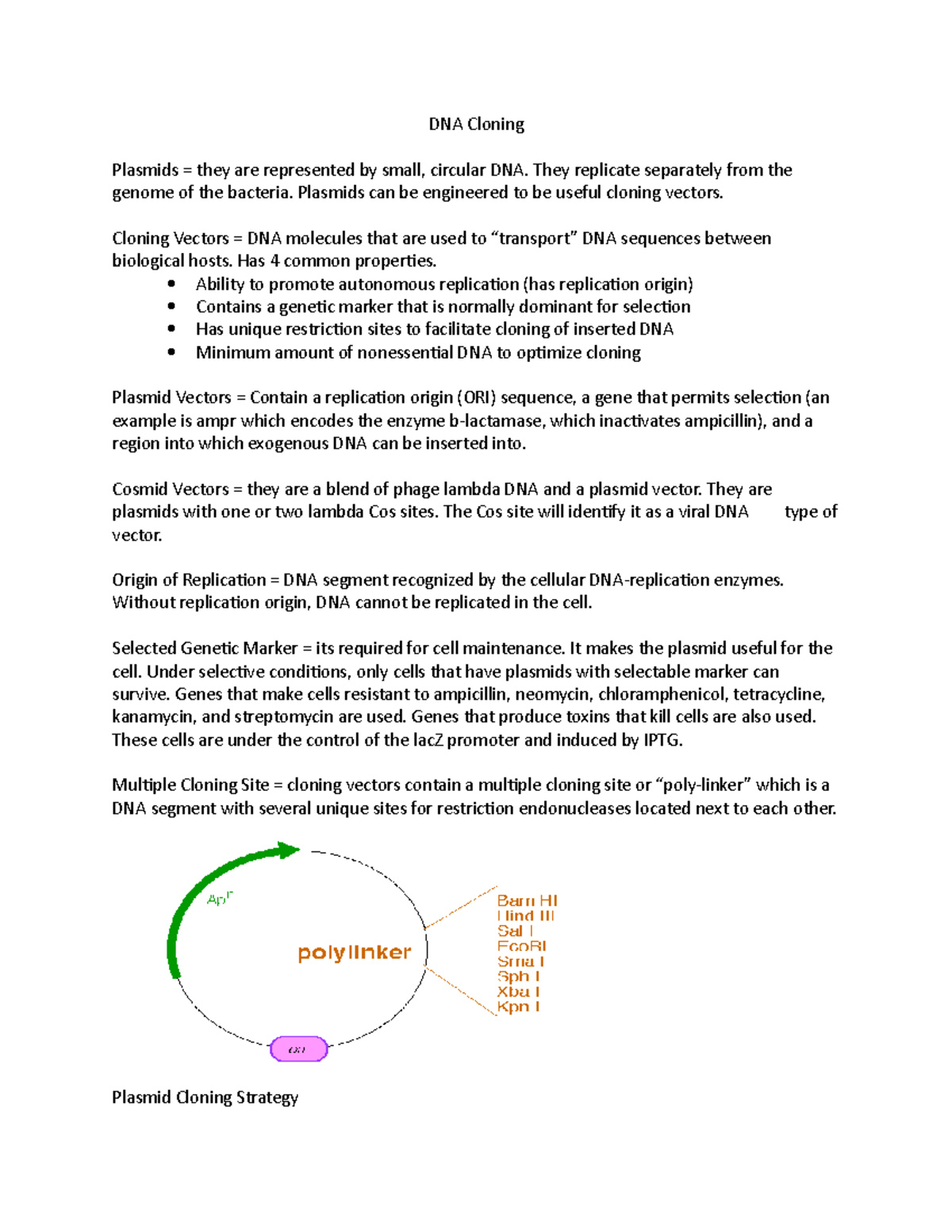 DNA Cloning - Notes for Professor Gracz's Molecular Biotechnology class ...
