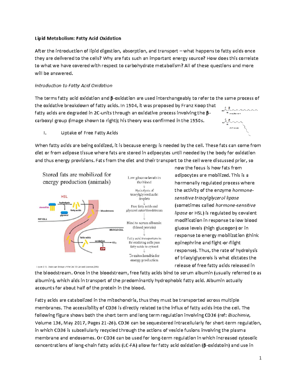 BICH 411 L13 Study Notes - Lipid Metabolism: Fatty Acid Oxidation After ...