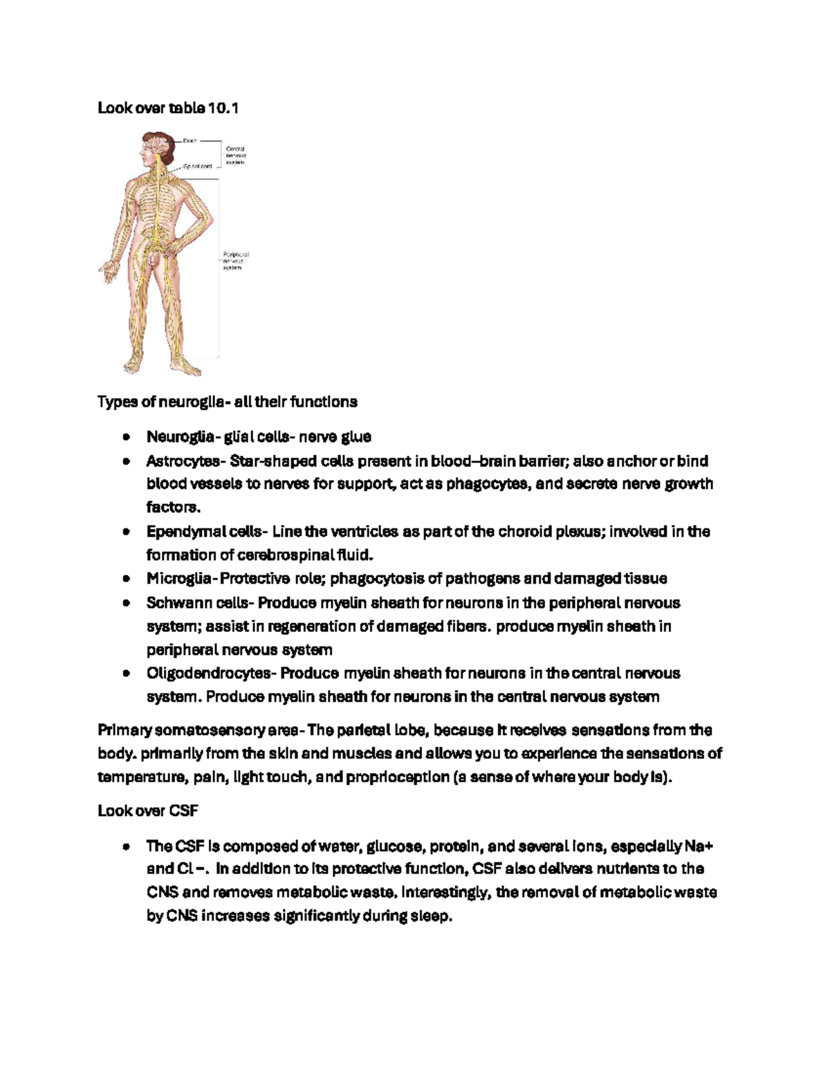 CNS & PNS Functions: Comprehensive Study Notes for Exam Prep - Studocu