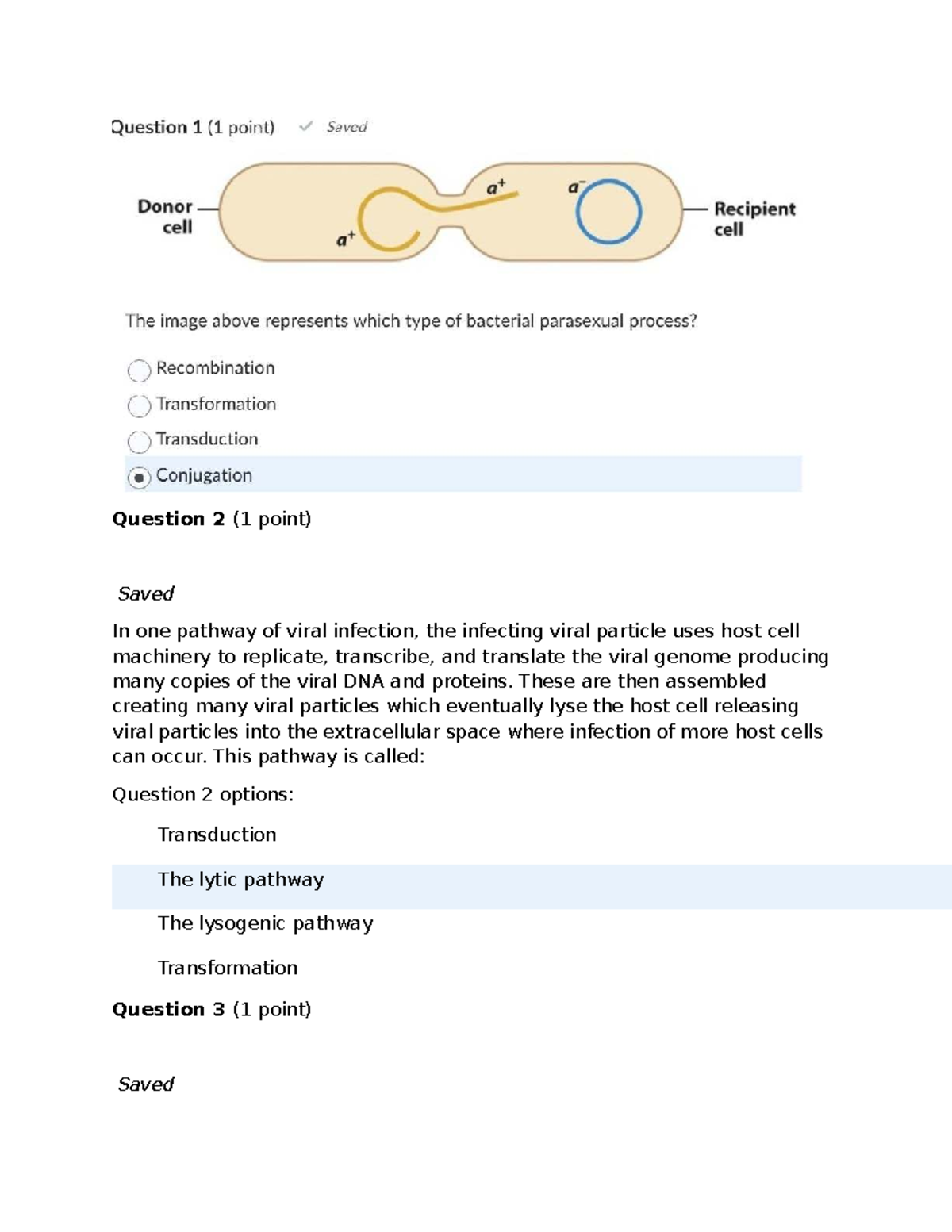 Quiz 5 - Viral Infections and Bacterial Genetics (BIO101) - Studocu