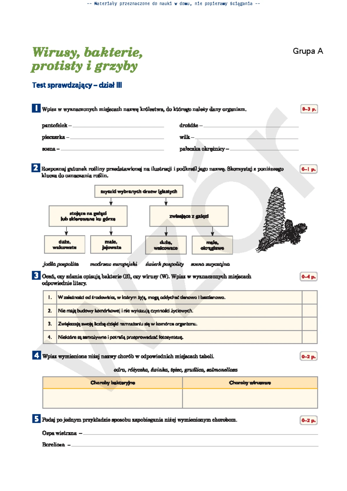 Together KL5 U1 Unit Test Support Materials for Grade 5 - Studocu