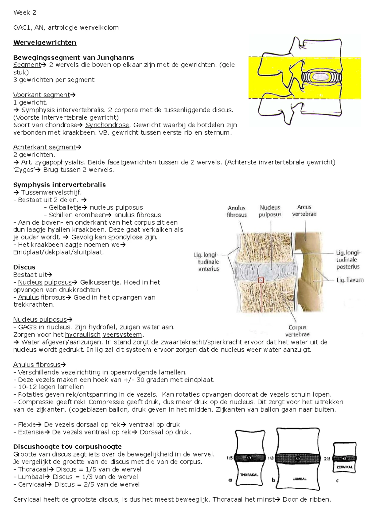Beroerte praktijkrichtlijn - KNGF-richtlijn Beroerte Update klinimetrie ...
