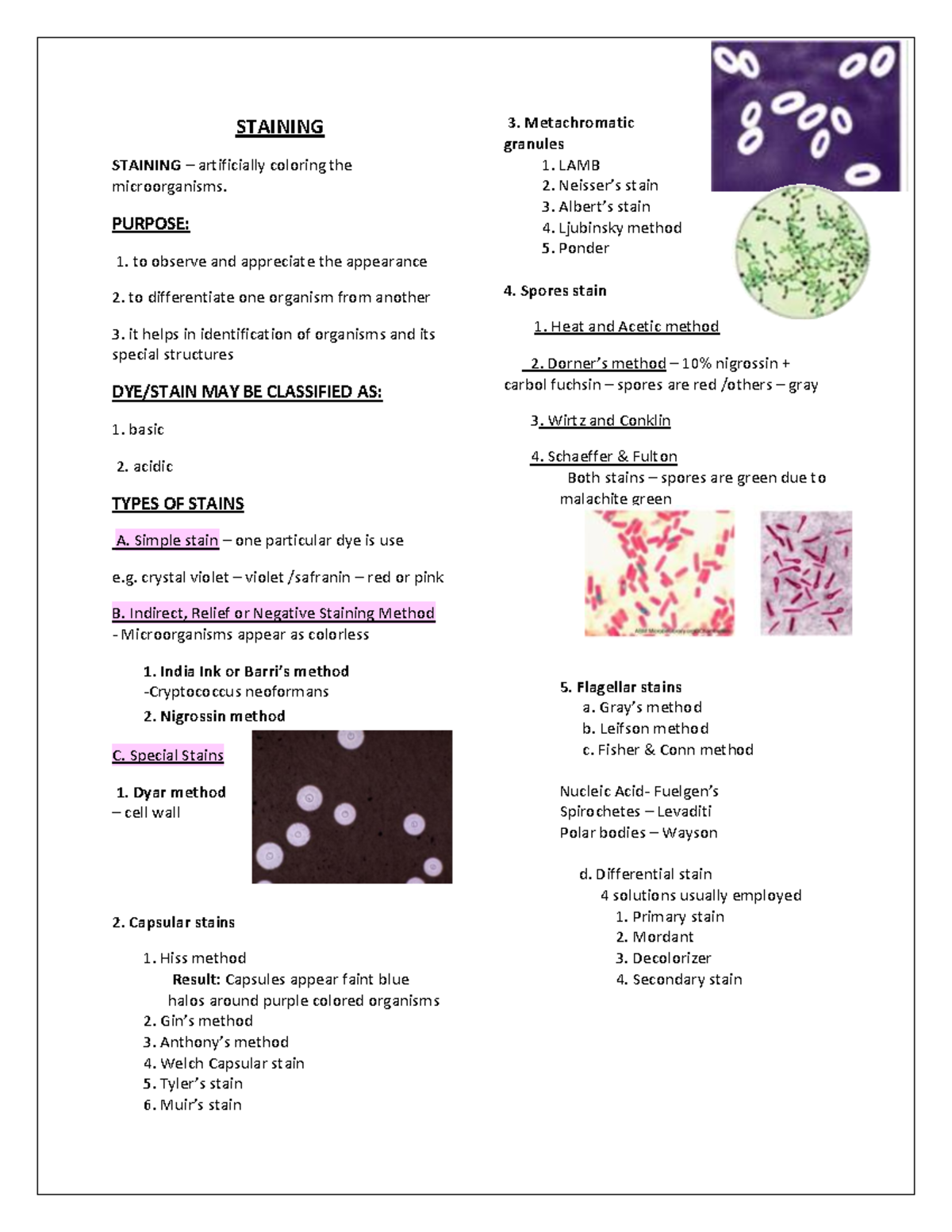 Gram Staining Techniques Review for Microbiology (BIO 101) - Studocu