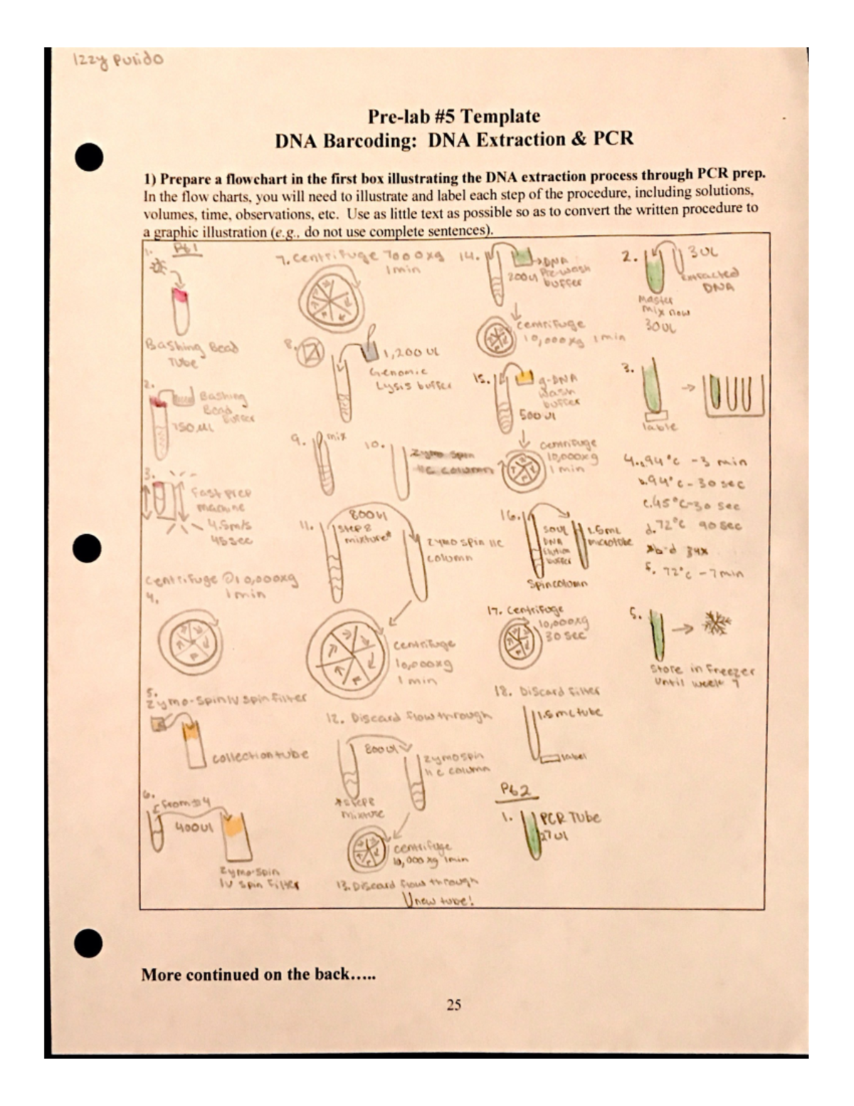 DNA Barcoding Pre-Lab #5 Template - Bio 161 Professor Neal - Studocu