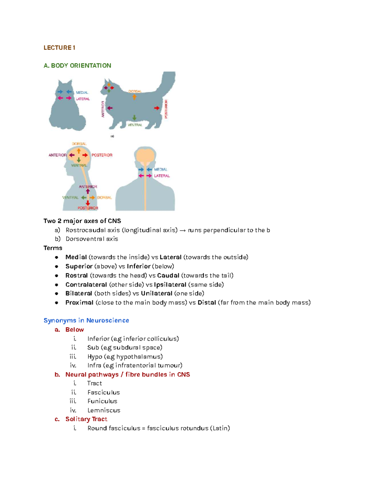 Final Exam Study Notes for Course XYZ101: Key Concepts and Review ...