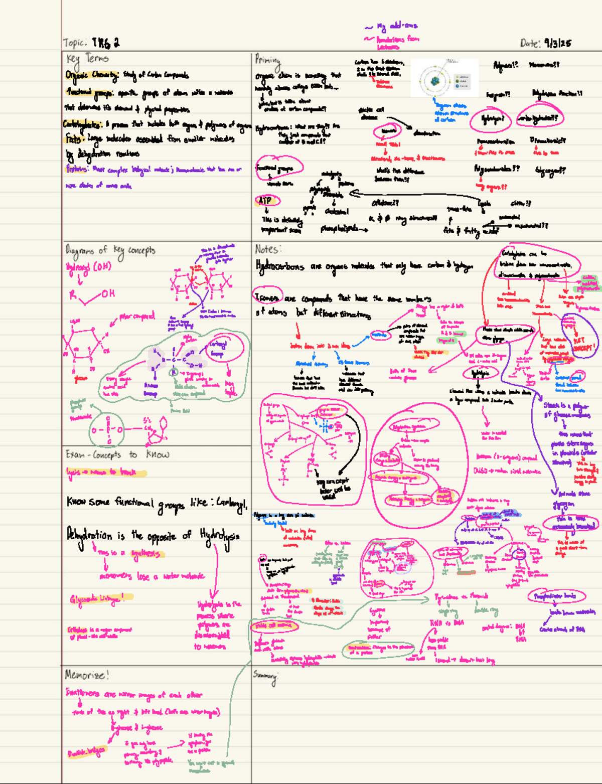 Comprehensive Notes for ABC 101: Organic Chemistry Final Exam Review ...