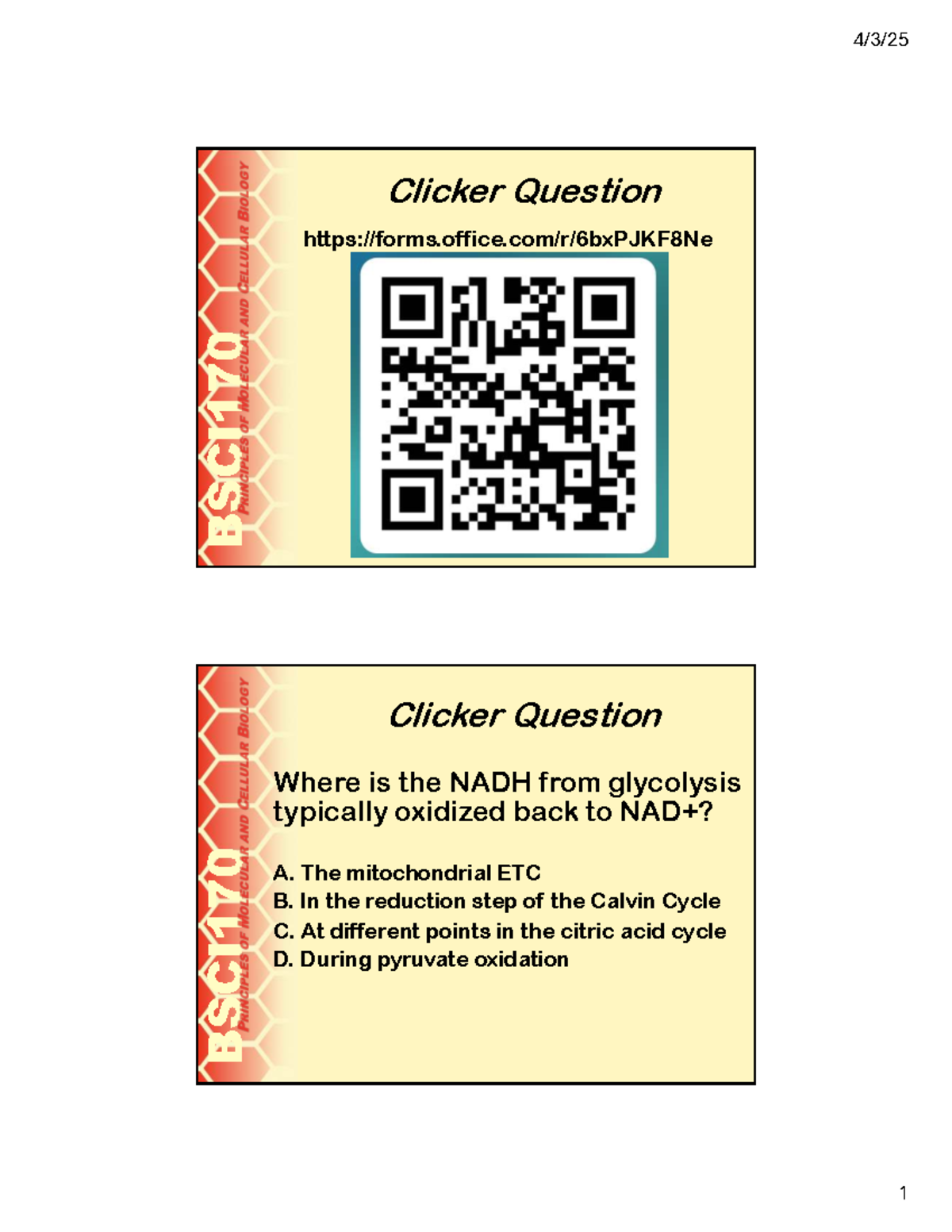 Understanding Fermentation and Metabolic Pathways (BIOL 101 Lecture ...