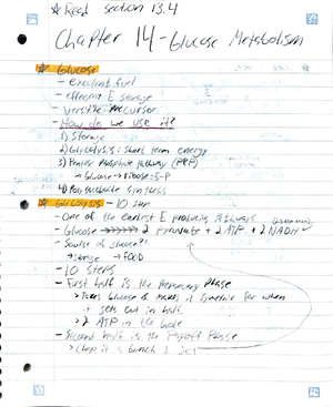 Title is Missing: "Comprehensive Notes for Course XYZ 101 Midterm Exam ...