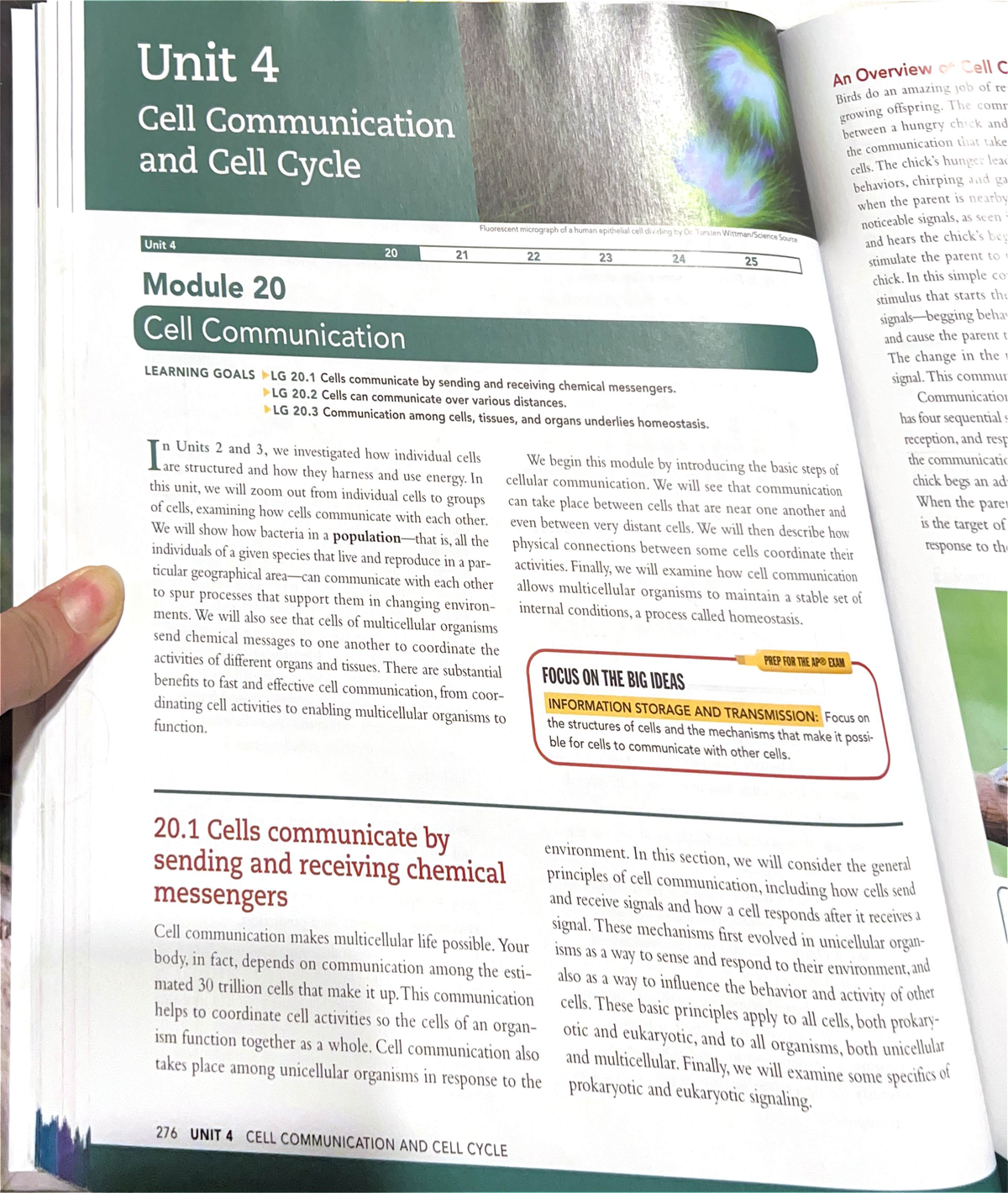 Final Exam Study Guide for Course ABC123: Cell Communication and Cycle ...
