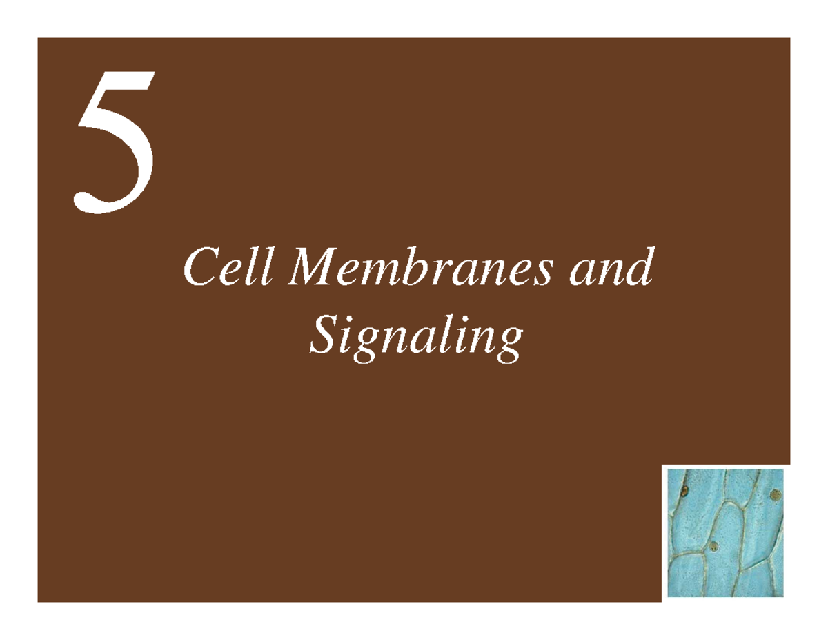 Chapter 5: Cell Membranes and Signaling - Key Concepts and Mechanisms ...