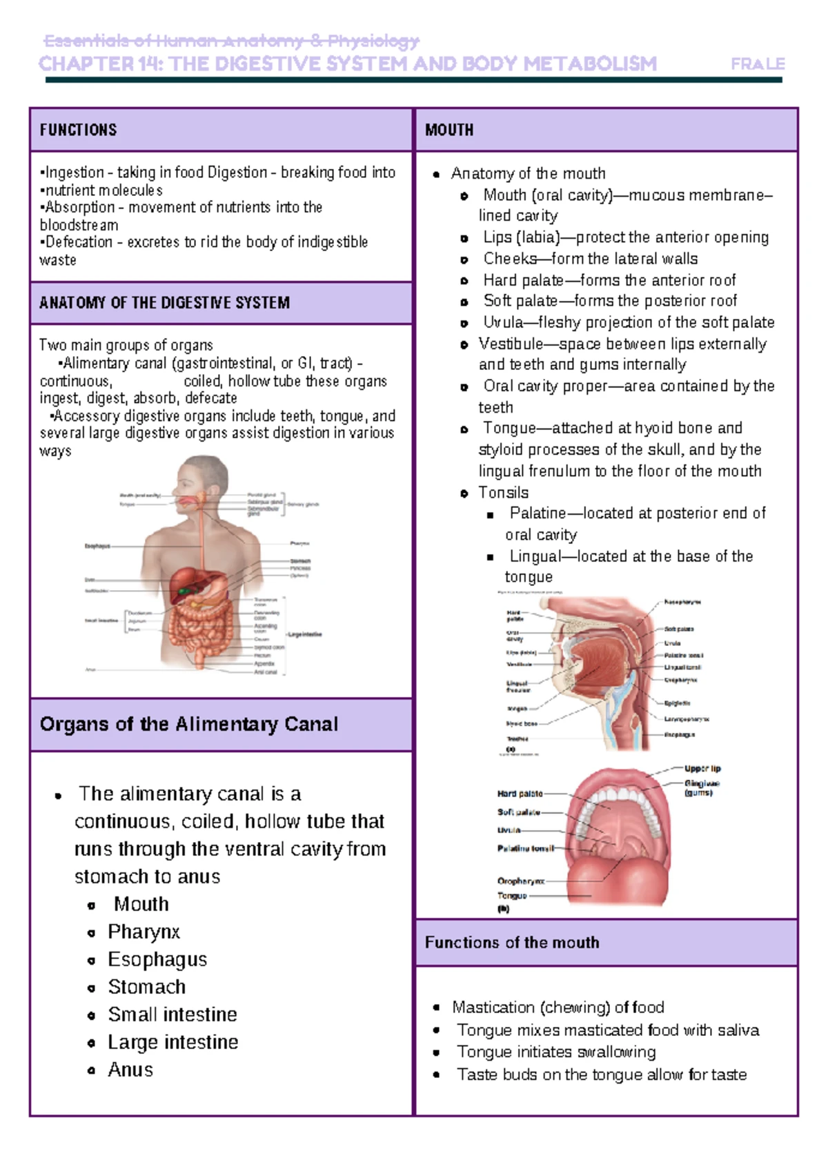 Anaphy Endocrine - Lecture Notes on the Endocrine System - Studocu