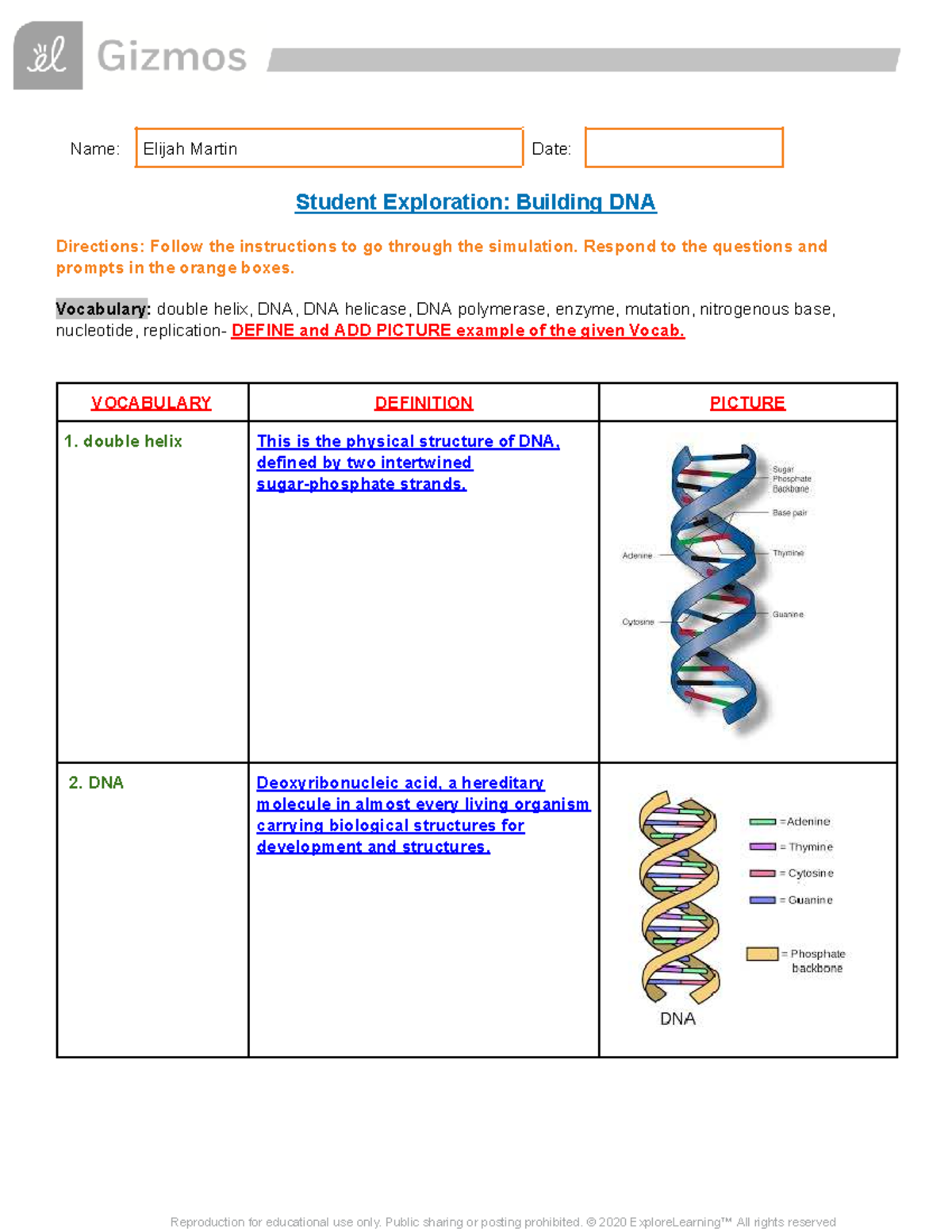 Elijah Martin - Student Exploration: Building DNA Simulation - Studocu
