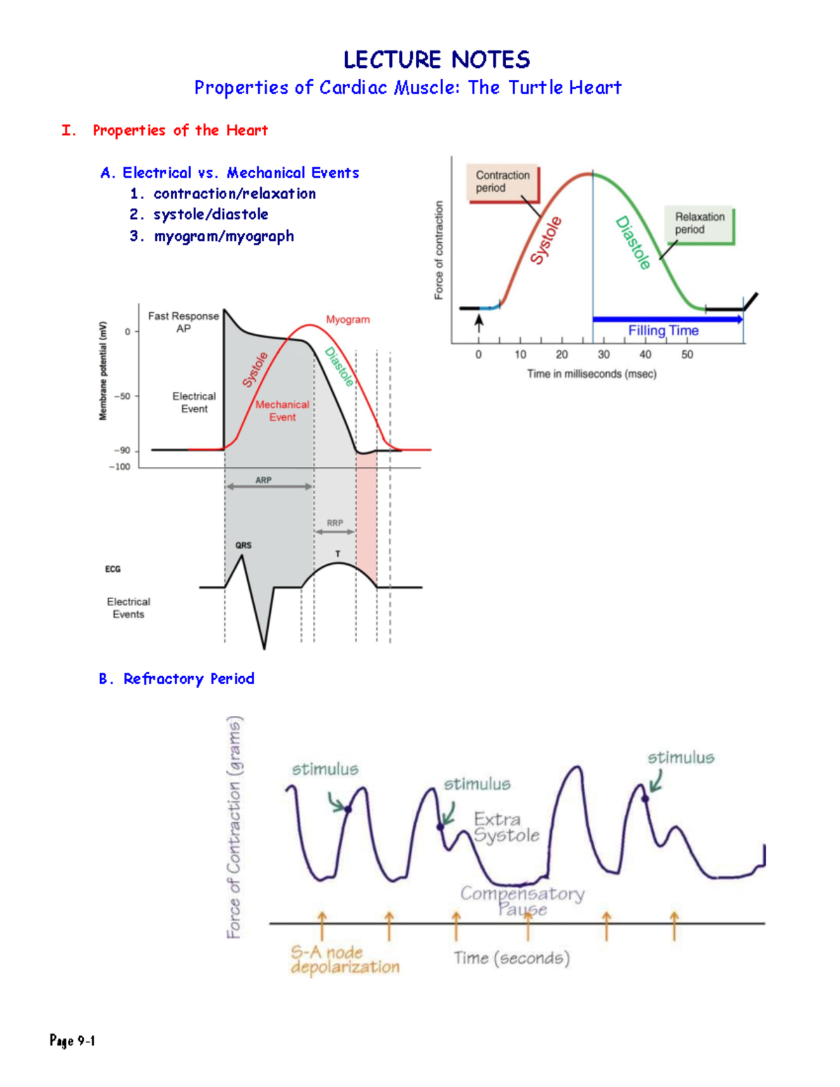 Lecture Notes on Cardiac Muscle Properties: The Turtle Heart (BIOL 101 ...