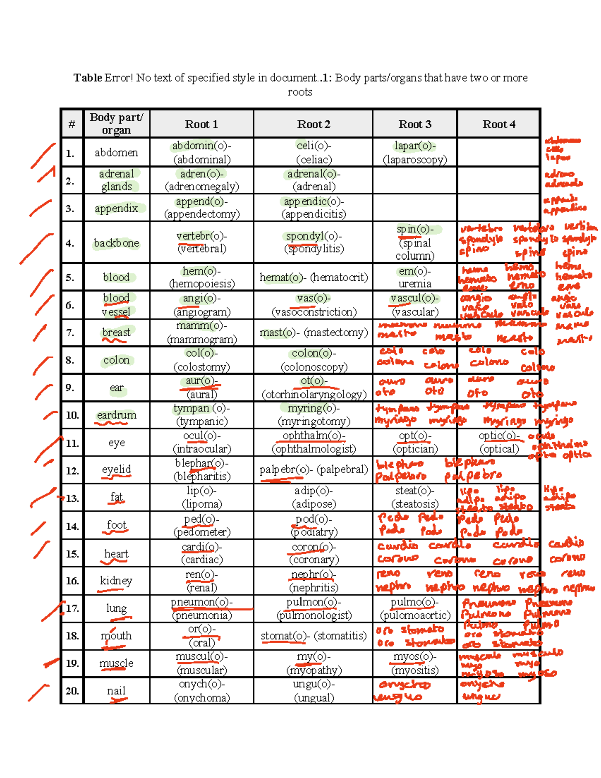 Anatomy Roots: Body Organs with Multiple Roots - Study Notes - Studocu
