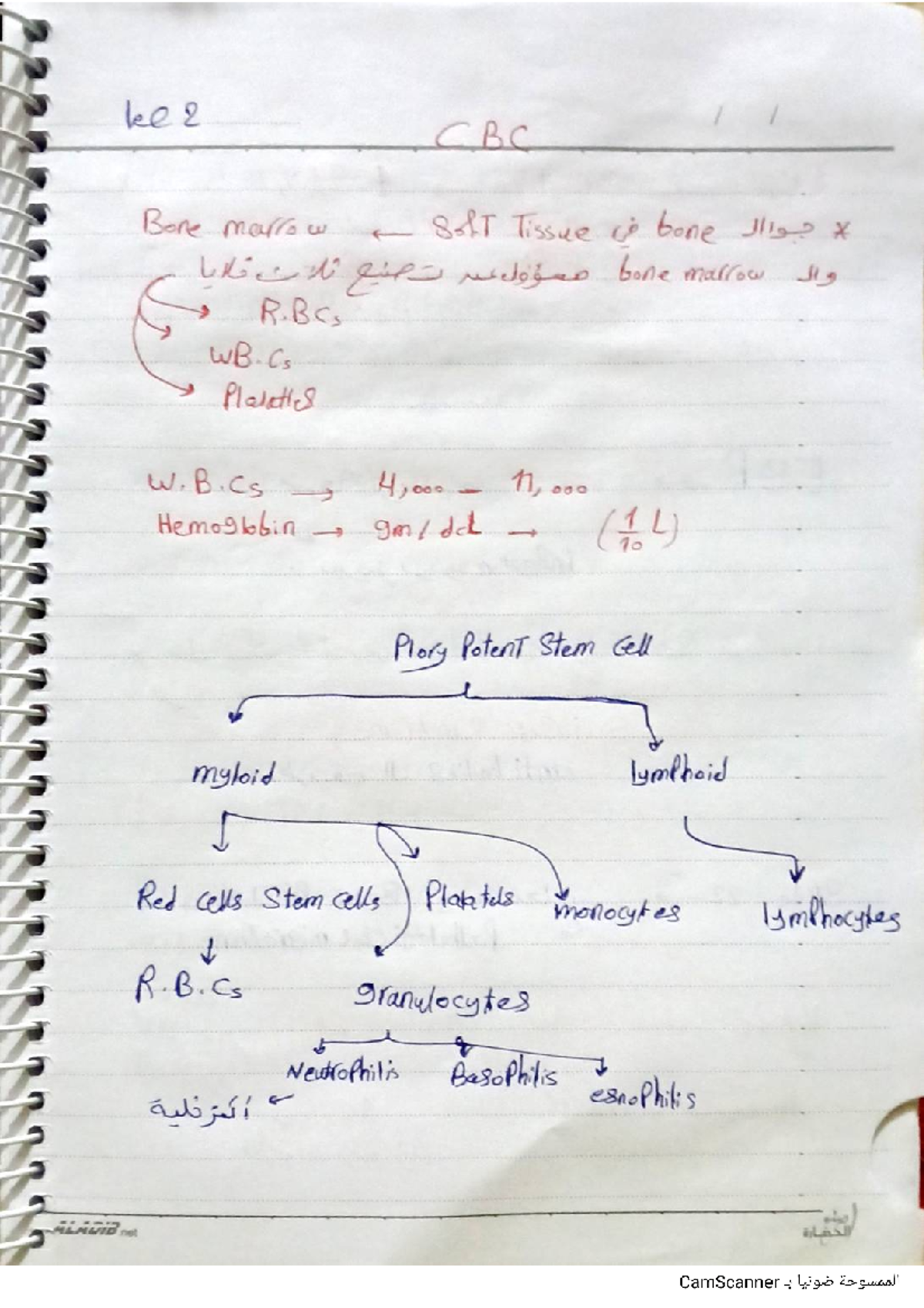 Diagnosis Lecture 2 - Key Concepts and Insights - Studocu