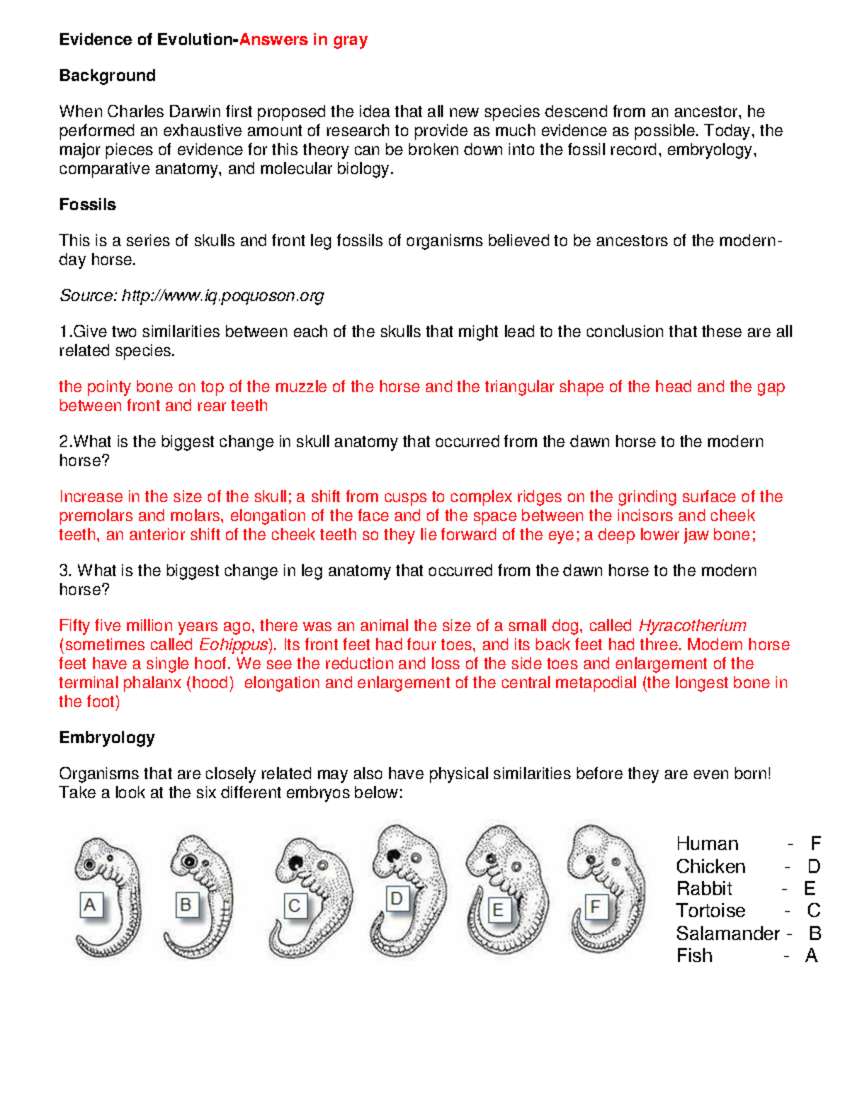 Evidence of Evolution: Detailed Answers and Analysis (Bio 101) - Studocu
