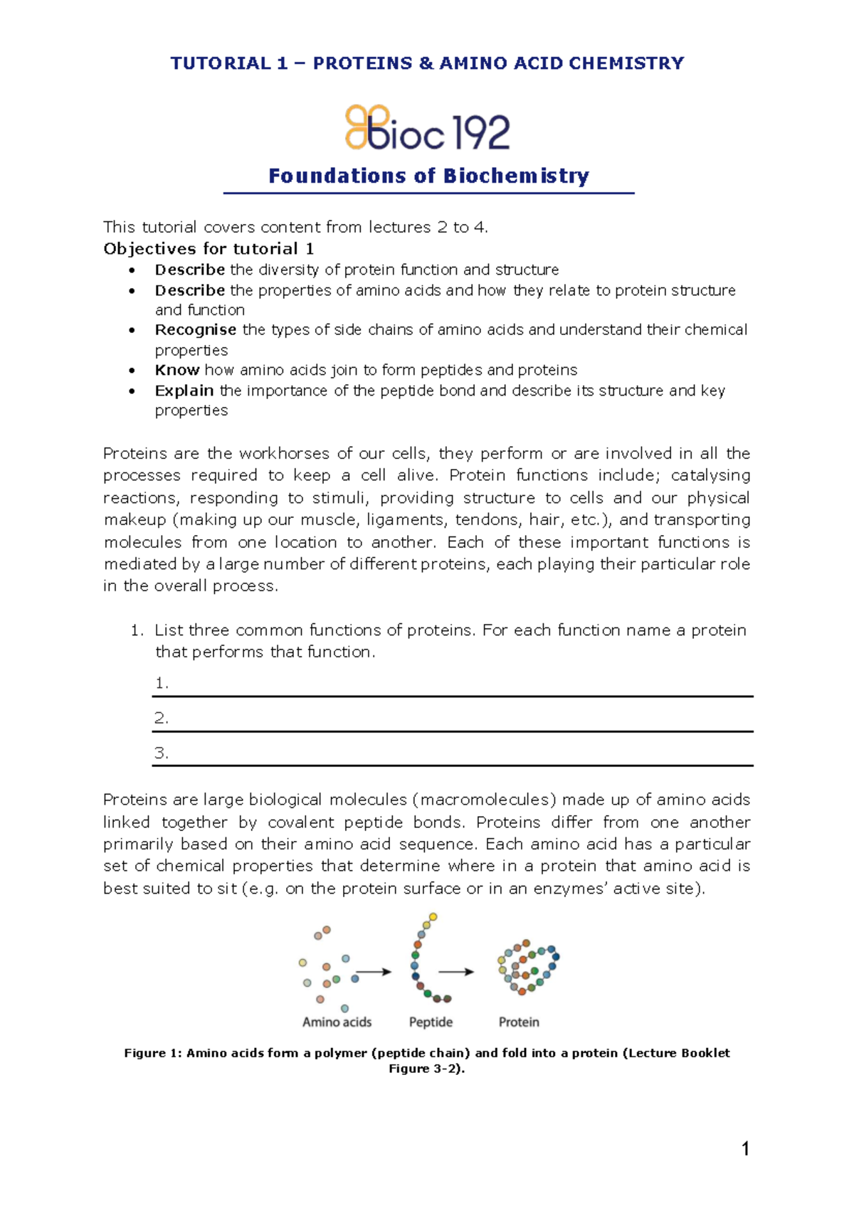 TUTORIAL 1: PROTEINS & AMINO ACID CHEMISTRY - Foundations of ...
