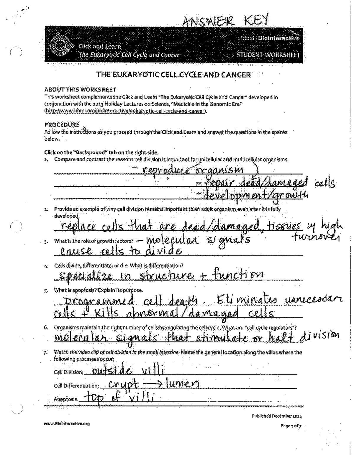 Eukaryotic Cell Cycle & Cancer Student Worksheet Answer Key Studocu