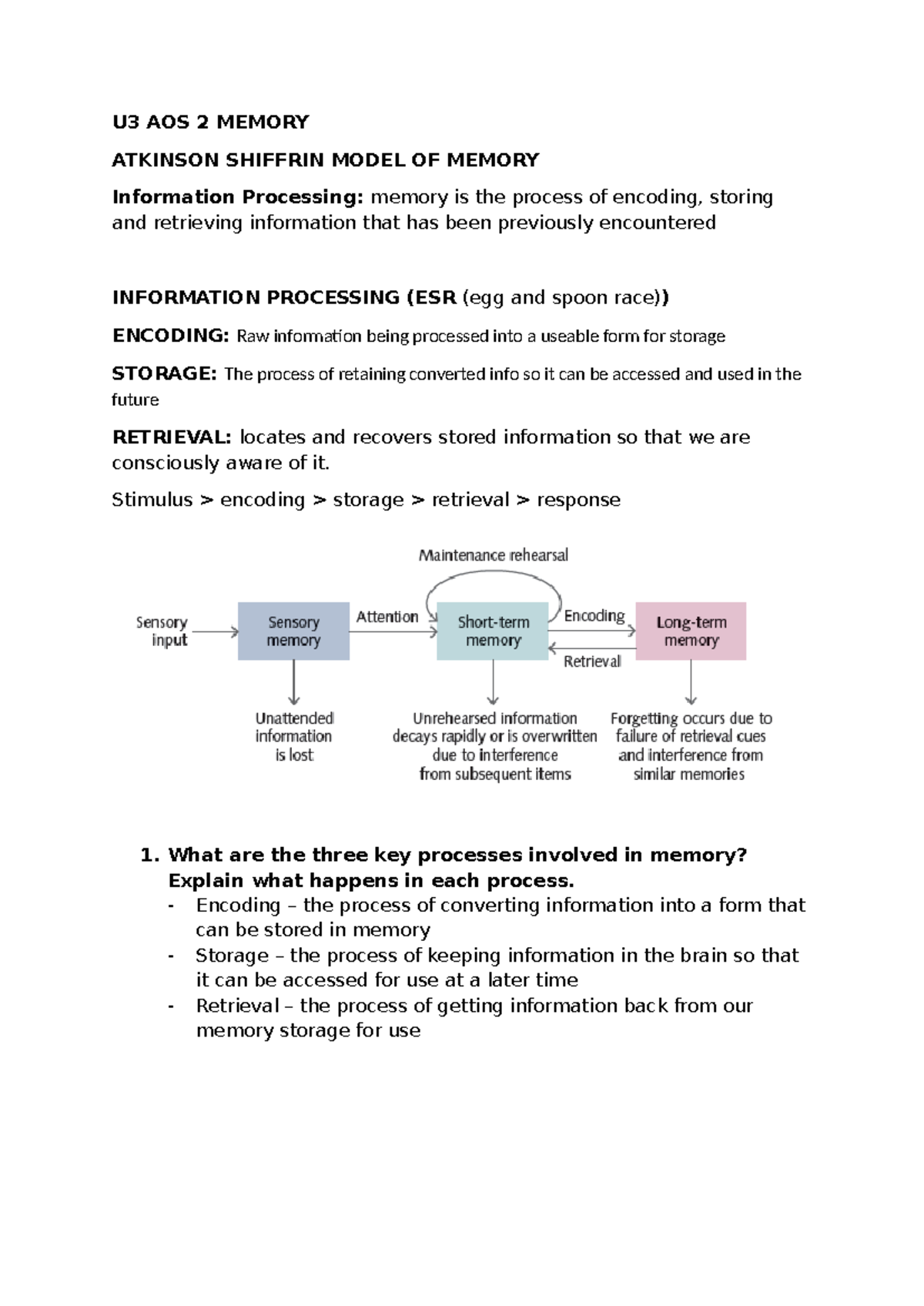 U3 AOS 2 Memory Summary: Atkinson-Shiffrin Model & Key Concepts - Studocu