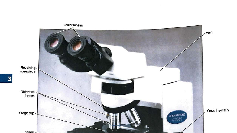 LAB 2 - Microbiology: Light Microscope Operation and Calibration Guide ...