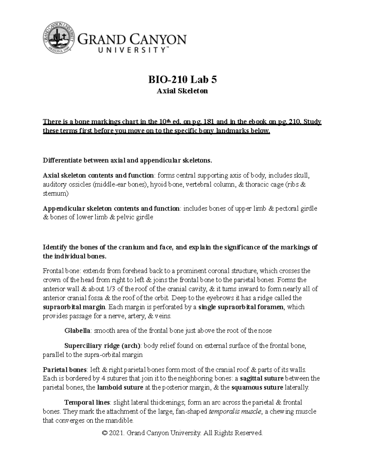Axial Skeleton Overview for BIO-210 Lab 5: Key Terms and Structures ...